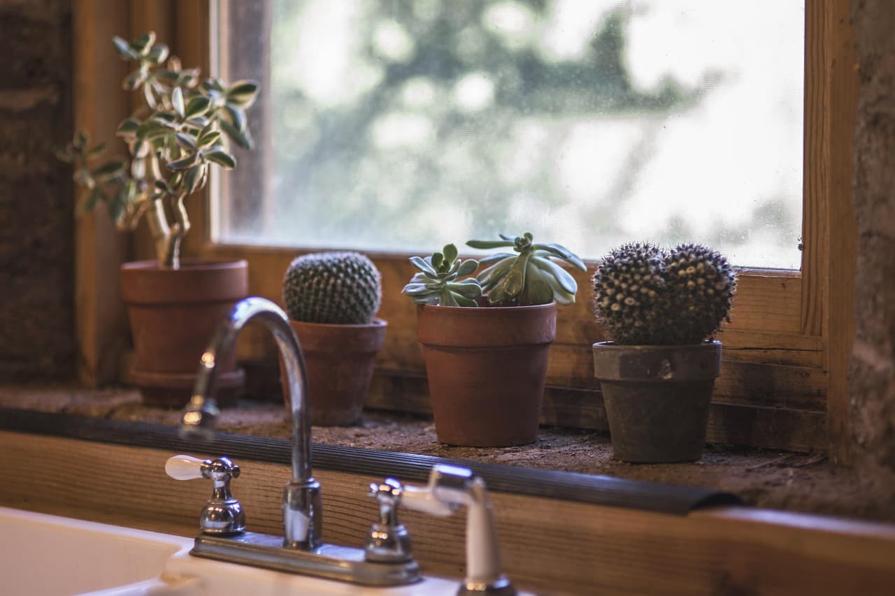 A kitchen tap at a sink under a window sill of potted cacti